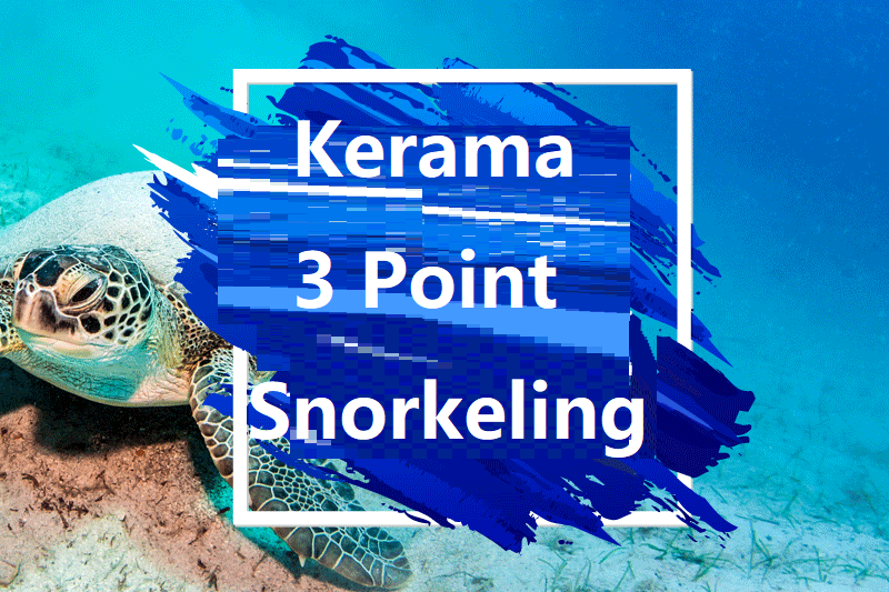 【Departure from Naha】 Kerama Three Point Snorkeling