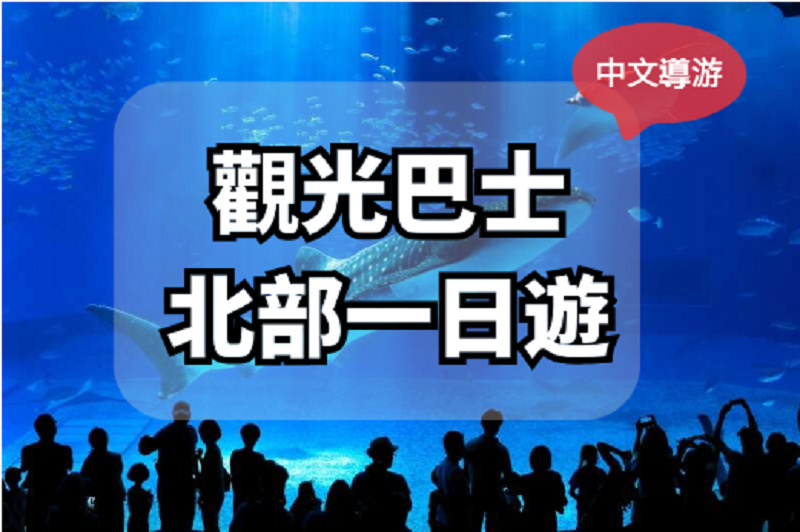 【中文導遊/含門票】沖繩北部觀光巴士一日遊-前往美麗海水族館