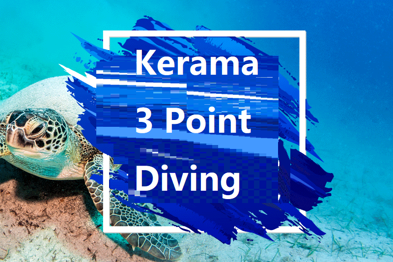 【Departure from Naha】 Kerama Three Point Diving Tour with Sea Turtles