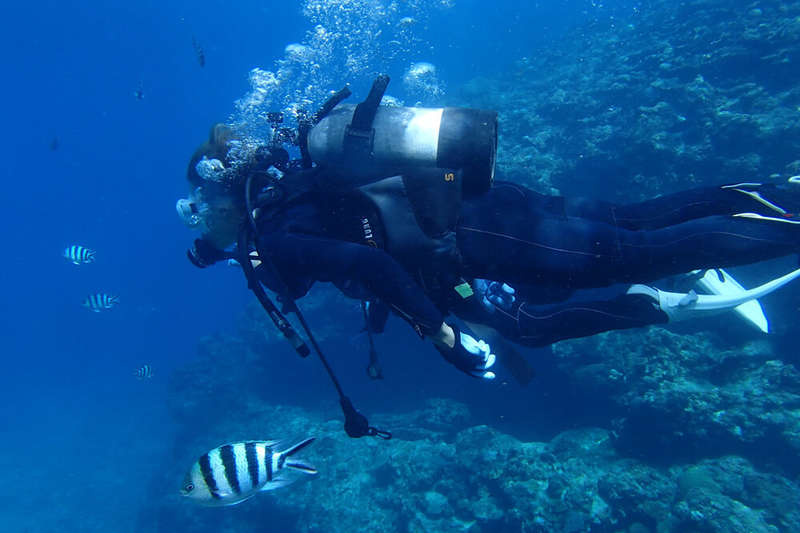 Blue cave diving